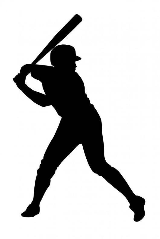 The New 2010's MLB 